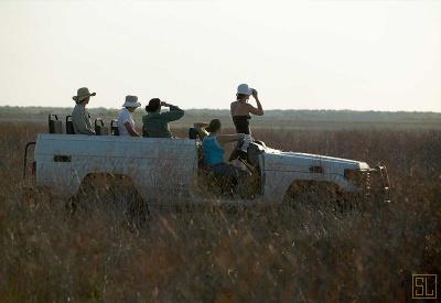Bamurru Plains - Photo 20