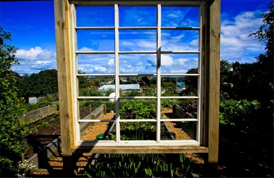 Boatshed - Photo 20