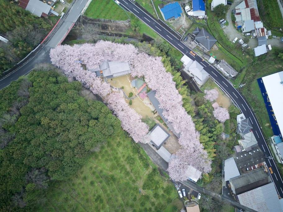 Oukai Villa - Photo 16