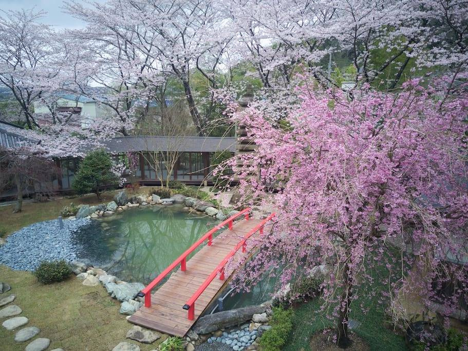 Oukai Villa - Photo 12