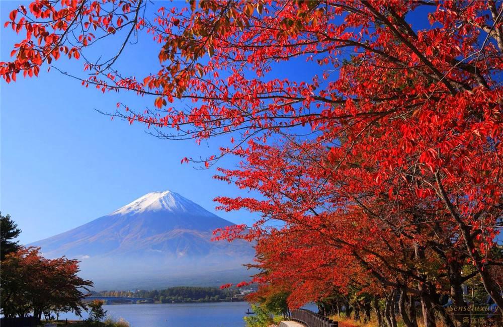 虹夕诺雅套餐 富士山