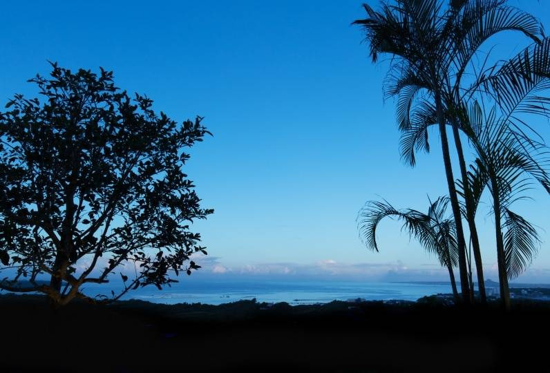 Le Cana - Photo 36
