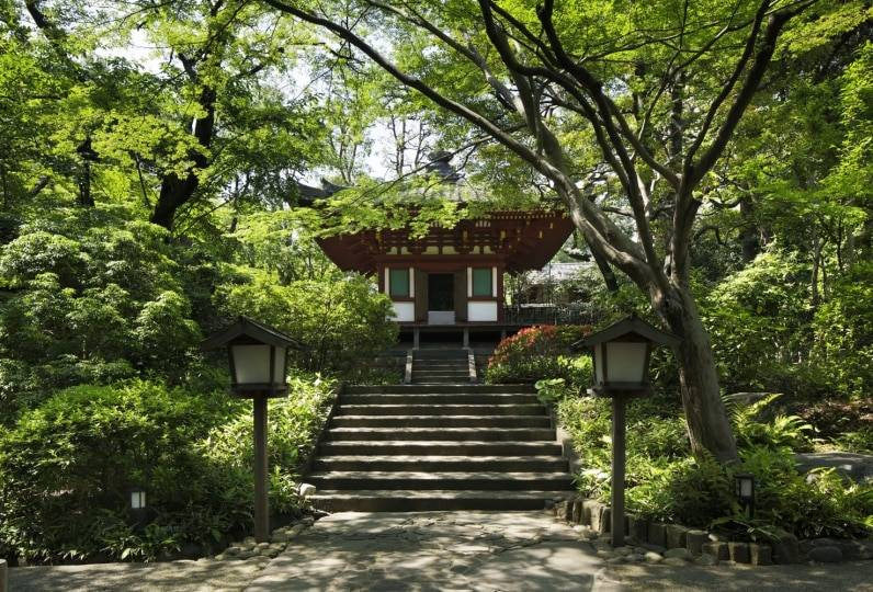 Takanawa Hanakoro - Photo 24
