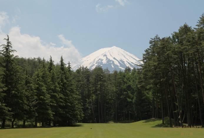 森林木屋别墅 外景