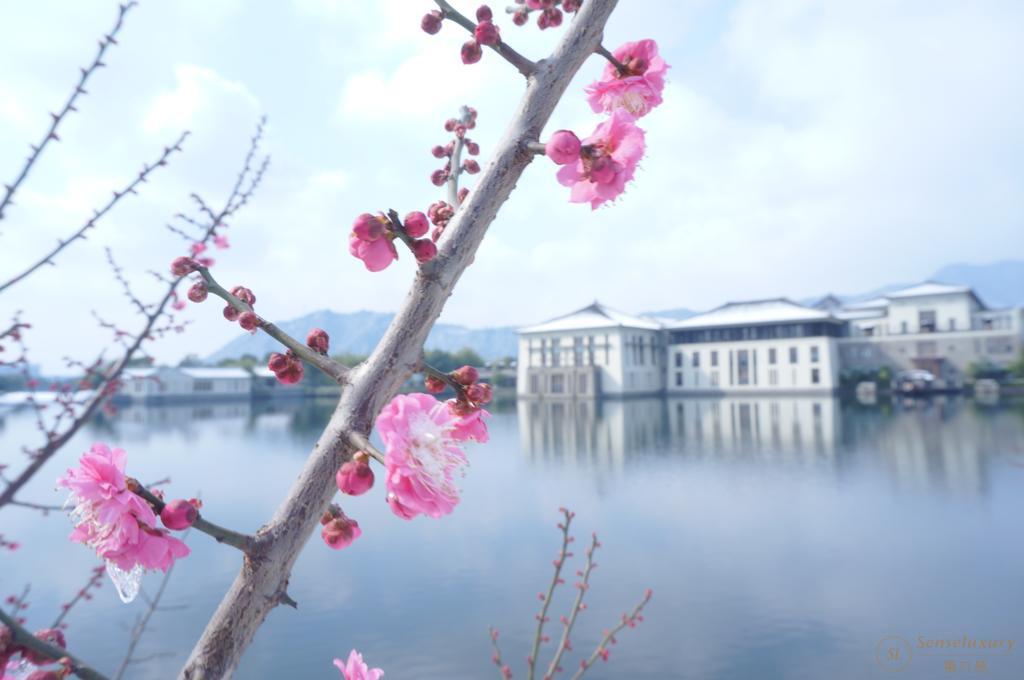 第六感Senseluxury 度假别墅-杭州富春山居高尔夫度假村-screenshot-7