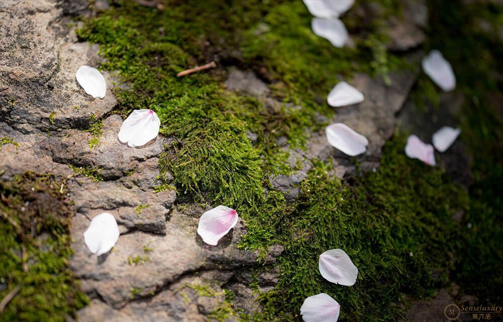 FUFU Kyoto - Photo 40