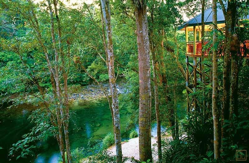 澳大利亚昆士兰州银橡树酒店树林