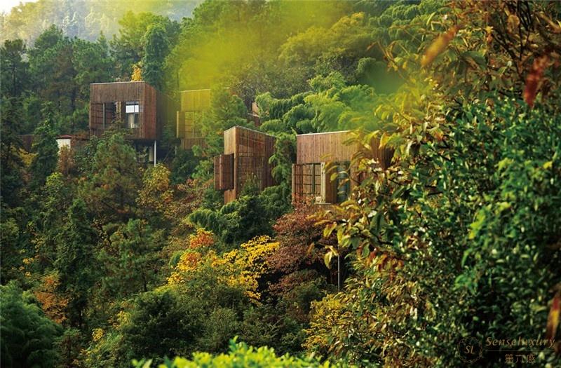 溧阳美岕山野温泉度假村全景二居室树屋